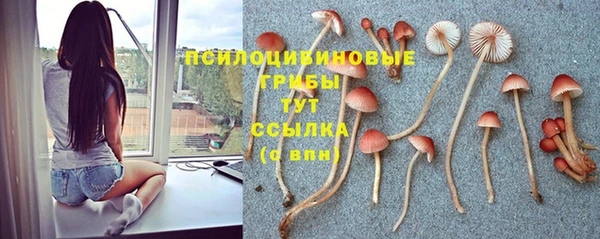 соль ск Армянск