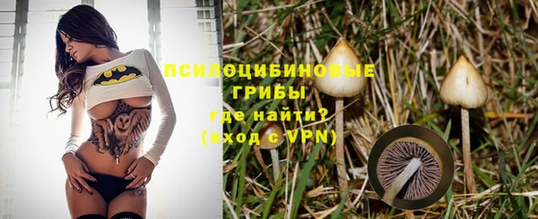 mdpv Арсеньев