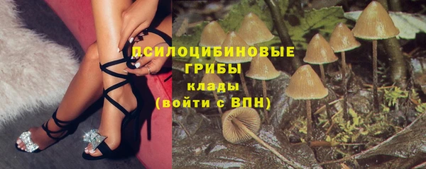 дмт Балабаново