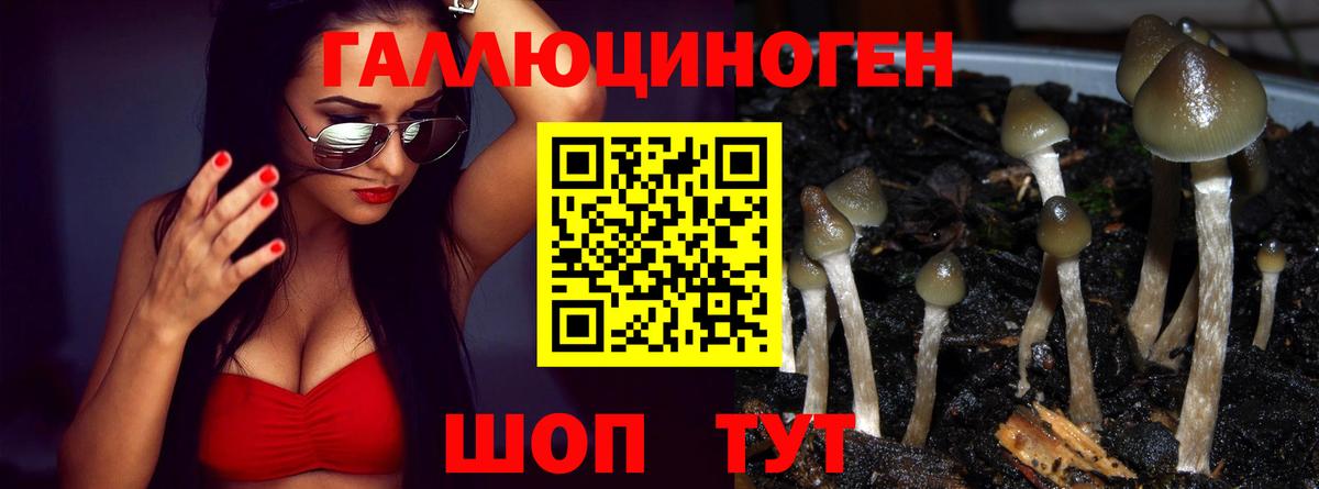 даркнет сайт  Псилоцибиновые грибы Magic Shrooms  Вход с VPN  Псилоцибиновые грибы Psilocybine cubensis  Унеча 